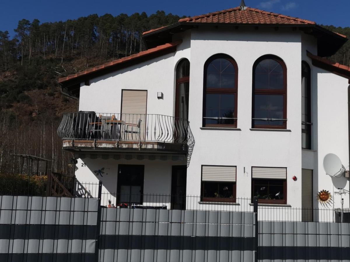 Ferienwohnung Burgpanorama ดาห์น ภายนอก รูปภาพ